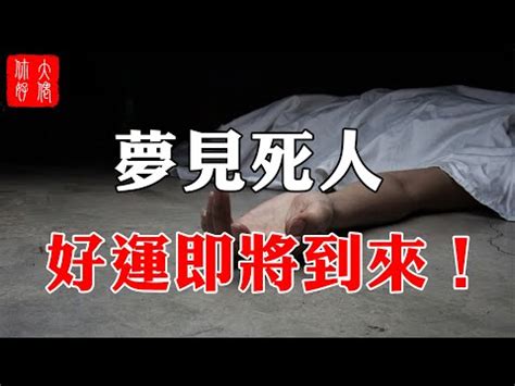 夢見鴿子死掉|夢見鴿子死掉